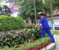园林绿化6